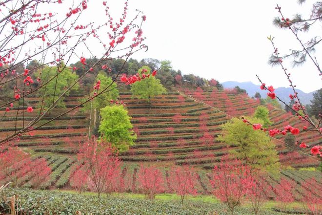 正式确定！新兴县象窝山生态园景区获评国家3A级旅游景区(图3)