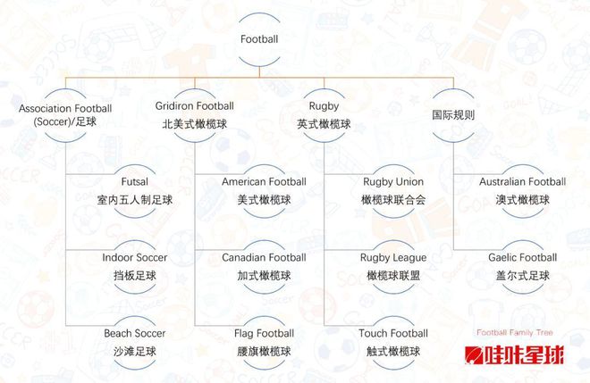 江南体育从Soccer说起这十几种运动竟然都叫Football!(图2)