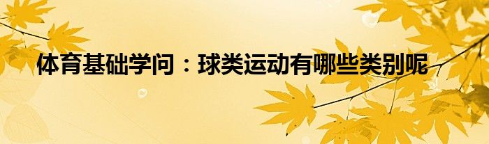 体育基础学问：球类运动有哪些类别呢(图1)