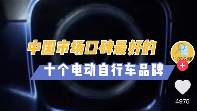 国内市场口碑最好的十个电动自行车品牌榜单来了你喜欢哪一个？(图1)