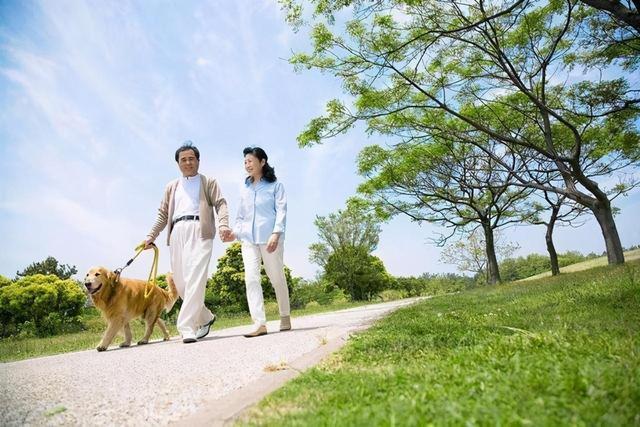 江南体育经常散步的人这三个好处或不请自来坚持几个好习惯同样重要(图6)