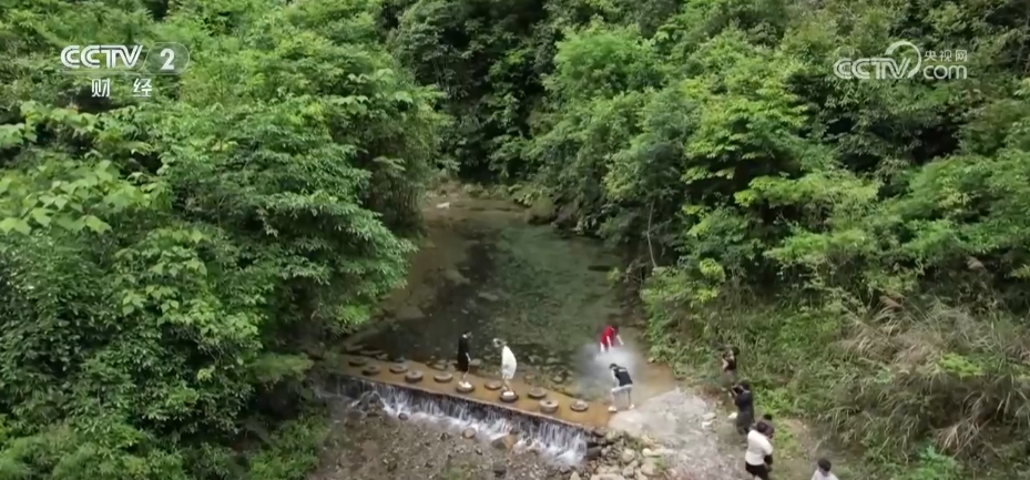 新玩法、新模式、新业态“欣欣向荣” 夏日旅游经济释放火热活力(图1)